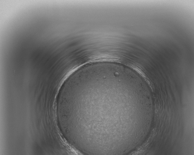 X0000059820933200510281728