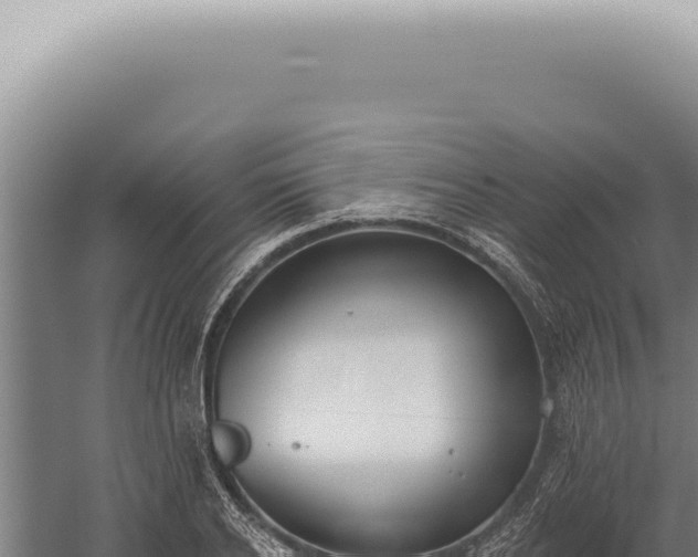 X0000059820934200510281728