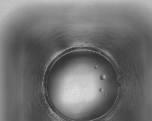 X0000059820935200510281728