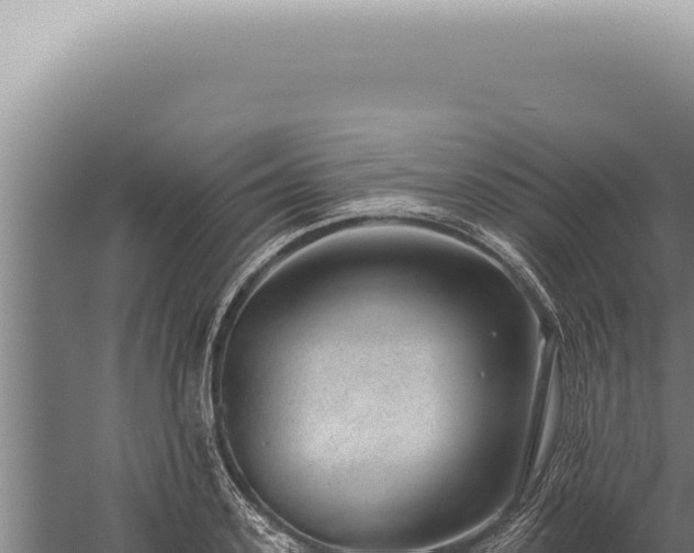 X0000059820939200510281728