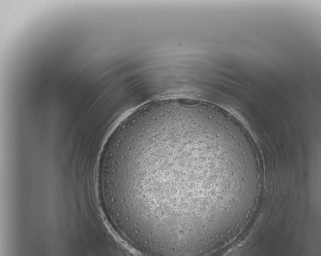 X0000059820949200510281728