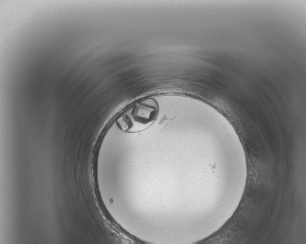 X0000059820950200510281728