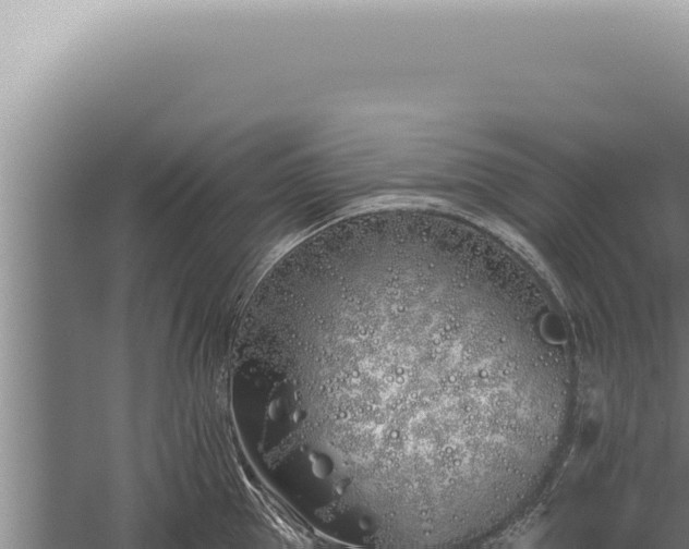 X0000059820953200510281728