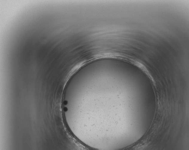 X0000059820954200510281728