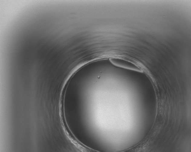 X0000059820955200510281728