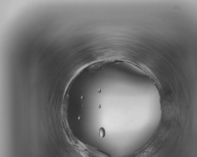 X0000059820956200510281728