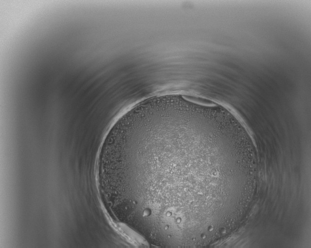 X0000059820957200510281728