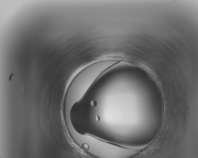 X0000059820960200510281728