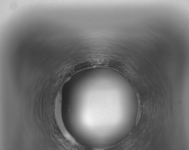 X0000059820961200510281727