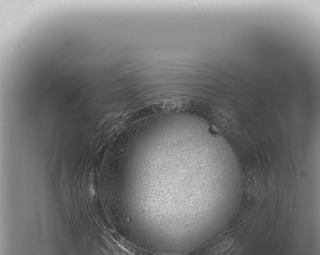 X0000059820962200510281727