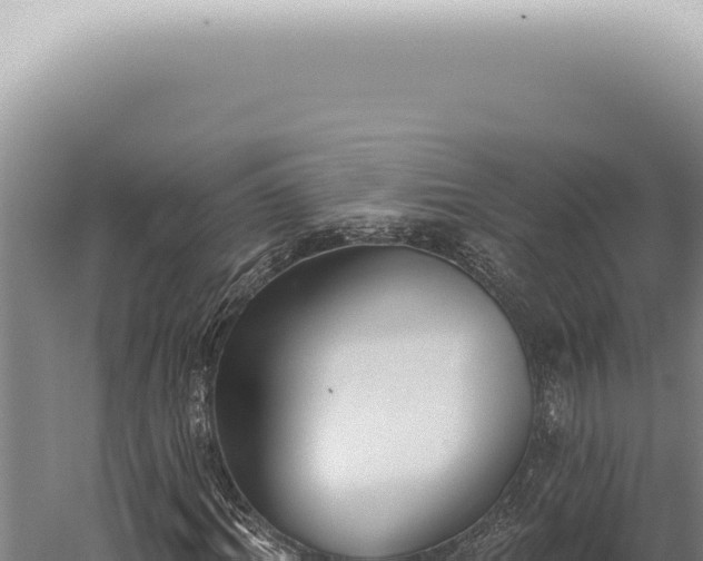 X0000059820964200510281727