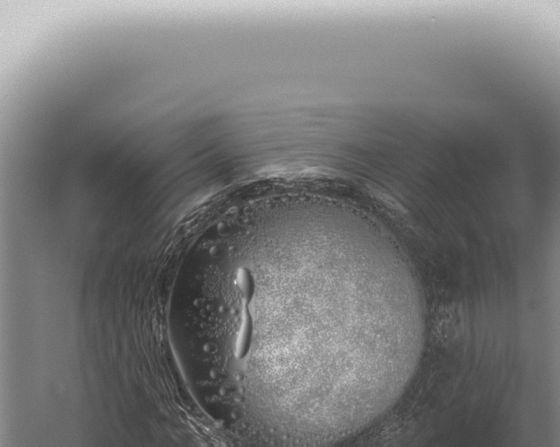 X0000059820966200510281727