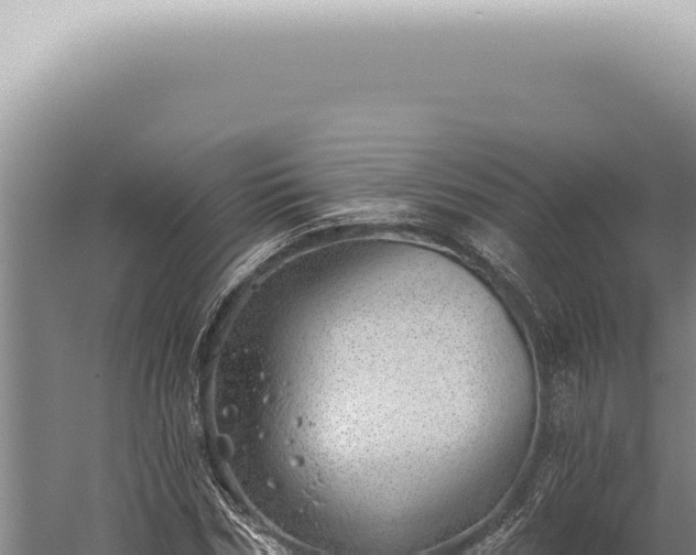 X0000059820970200510281727