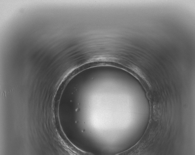 X0000059820972200510281727