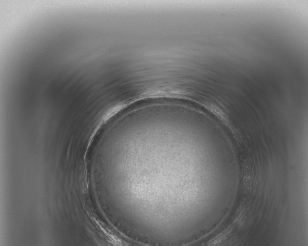 X0000059820974200510281727