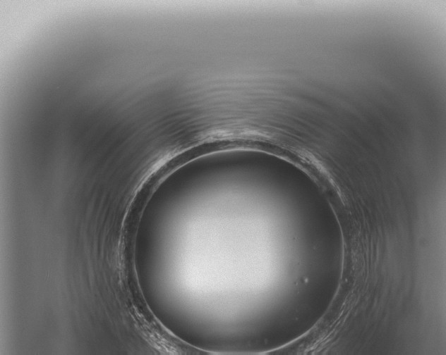 X0000059820975200510281727