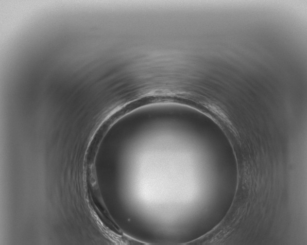 X0000059820976200510281727