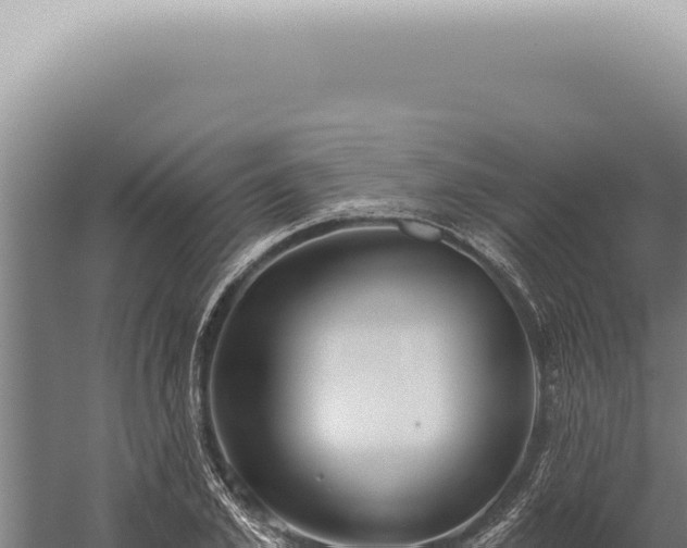 X0000059820981200510281727