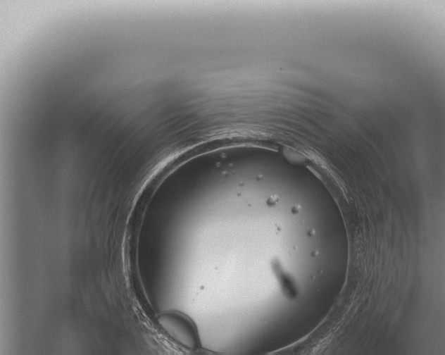 X0000059820983200510281727