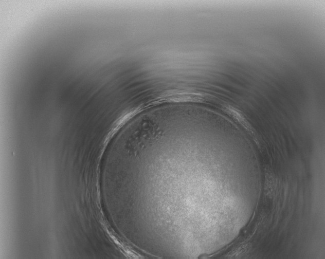 X0000059820986200510281727