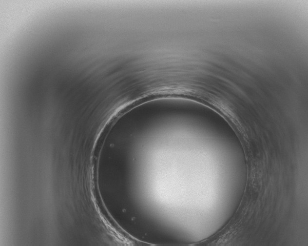 X0000059820992200510281727