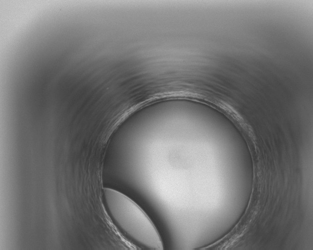 X0000059820993200510281727