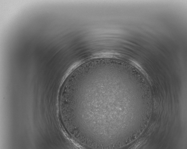 X0000059820994200510281727