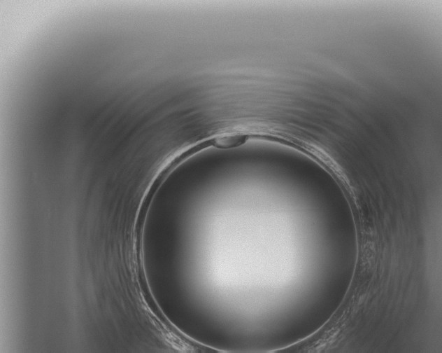 X0000059820996200510281727