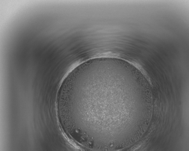 X0000059820998200510281727