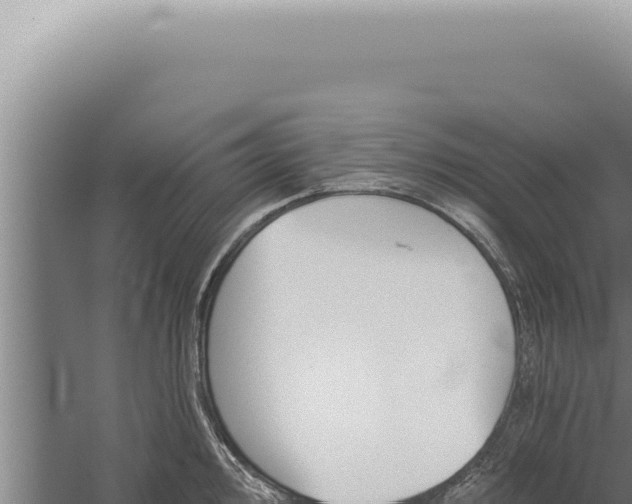 X0000059821000200510281727