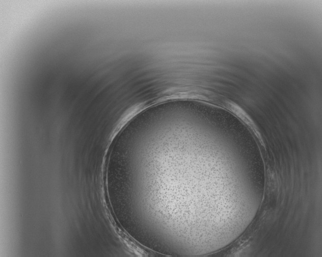 X0000059821002200510281727