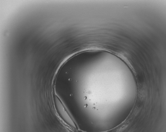 X0000059821004200510281726