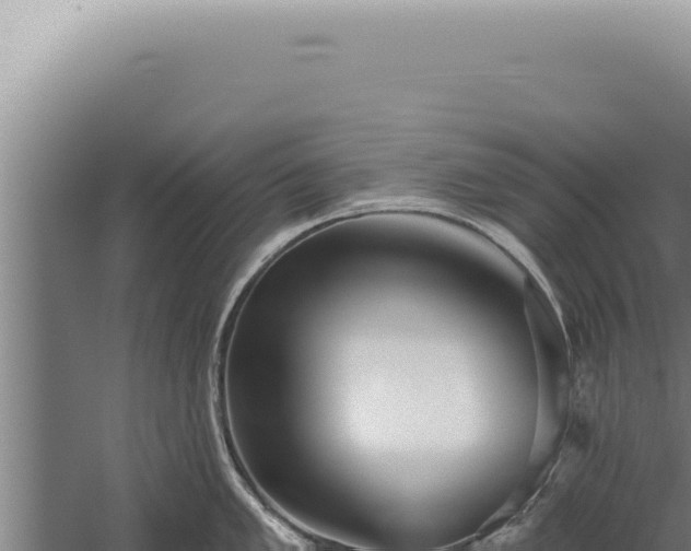 X0000059821005200510281726