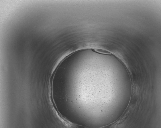 X0000059821006200510281726