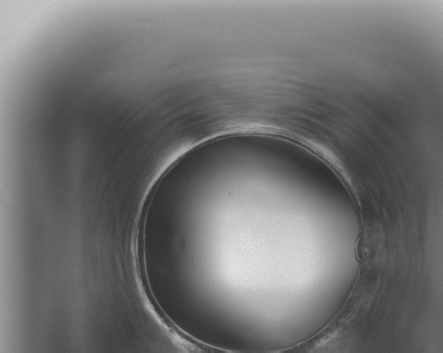 X0000059821007200510281726