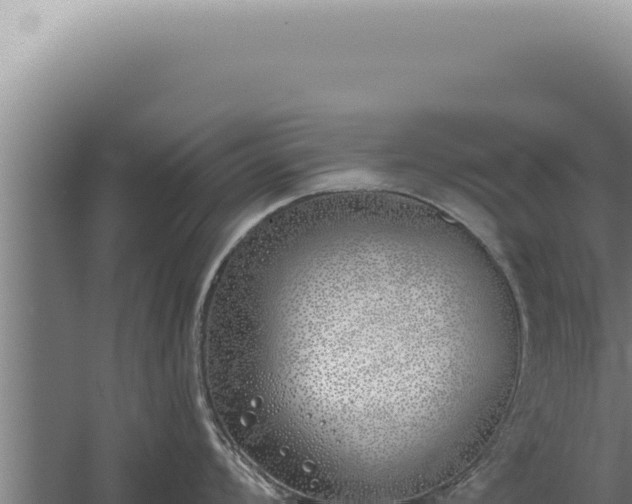 X0000059821008200510281726