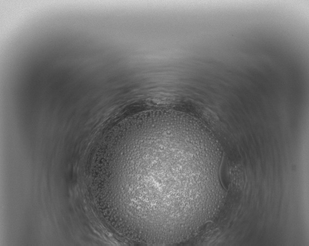 X0000059821009200510281726