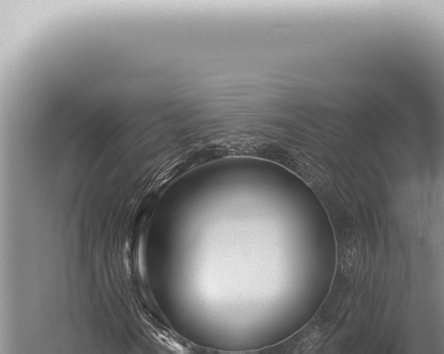 X0000059821010200510281726