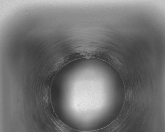 X0000059821012200510281726