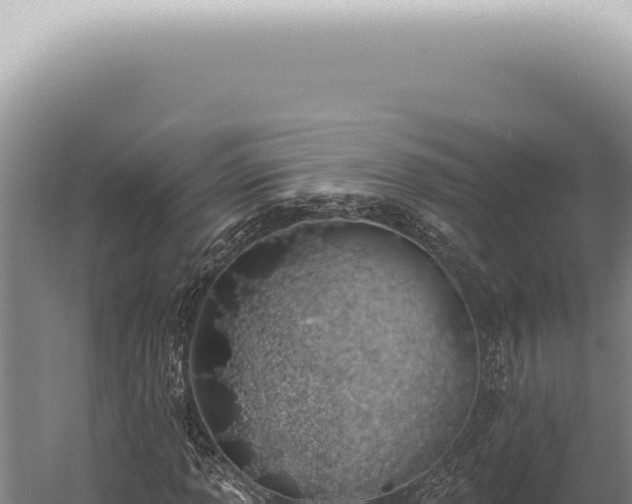 X0000059821013200510281726