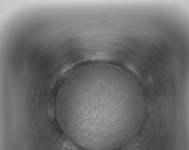 X0000059821015200510281726