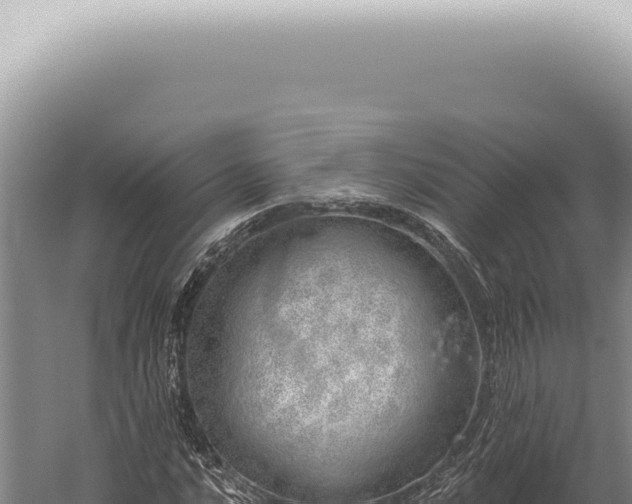 X0000059821016200510281726