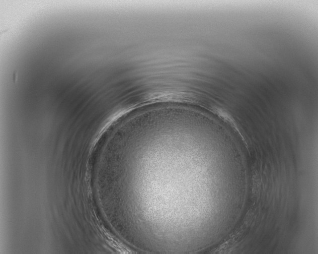 X0000059821019200510281726