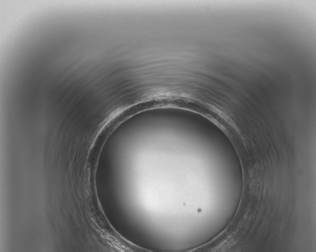 X0000059821021200510281726