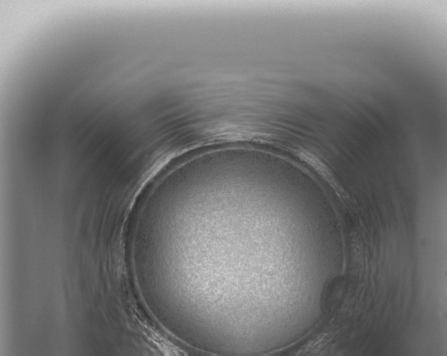 X0000059821023200510281726