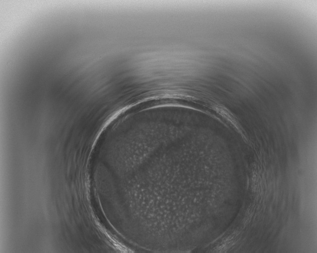 X0000059821024200510281726