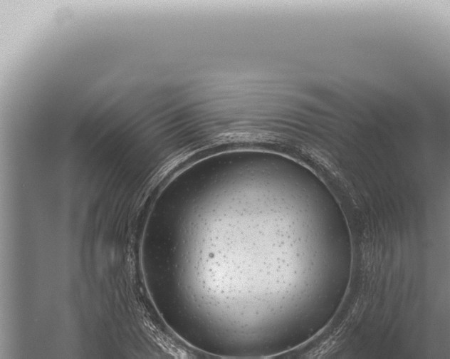 X0000059821025200510281726