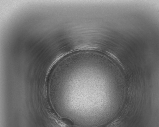 X0000059821027200510281726