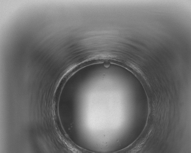 X0000059821029200510281726