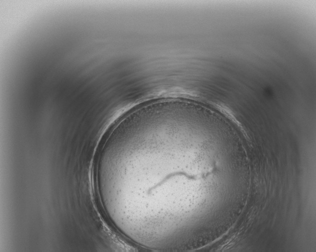 X0000059821032200510281726